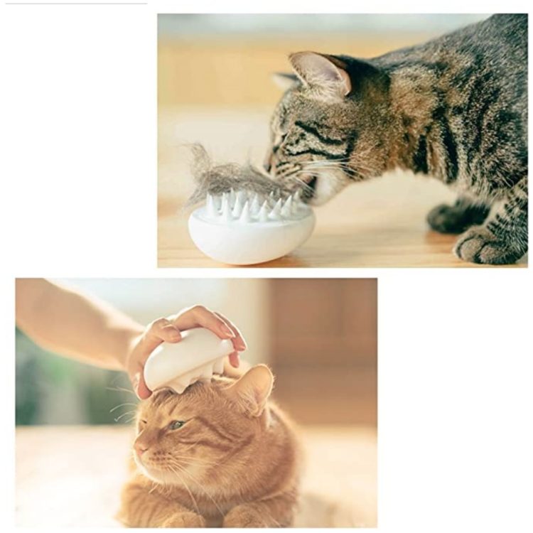 pidan® Cat Brush Furclean Pet Barn