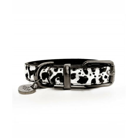dalmatian-leather-collar