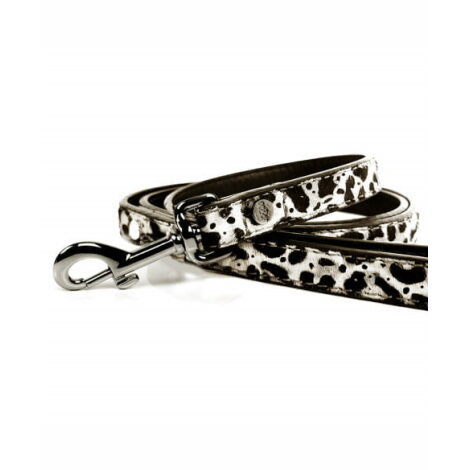 dalmatian-leather-leash