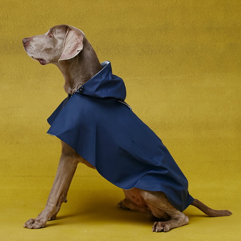 petbarn raincoat