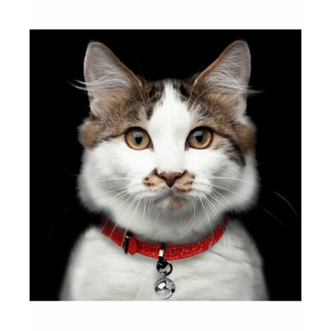 collier-chat-stardust-rouge (2)