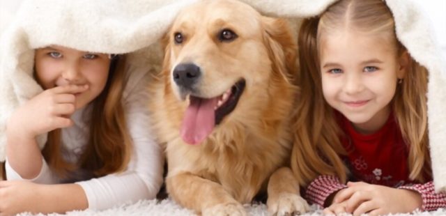 10 Reasons Pets Are Good for Kids