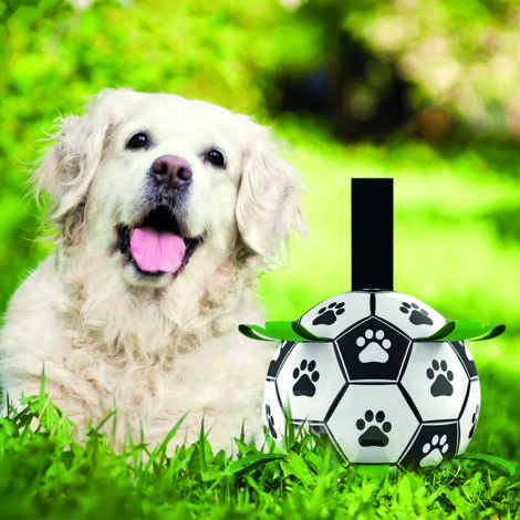 M-PETS_10643699_SOCCER Ball with dog2